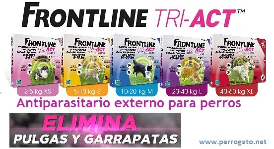 ANTIPARASITARIOS EXTERNOS PARA PERROS